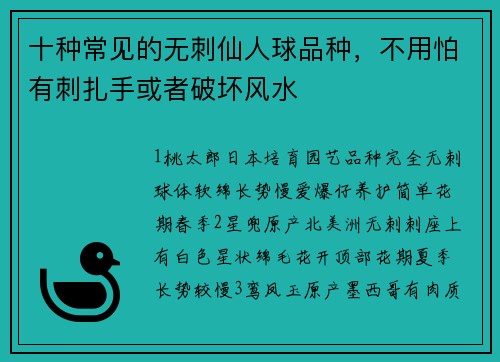 十种常见的无刺仙人球品种,不用怕有刺扎手或者破坏风水